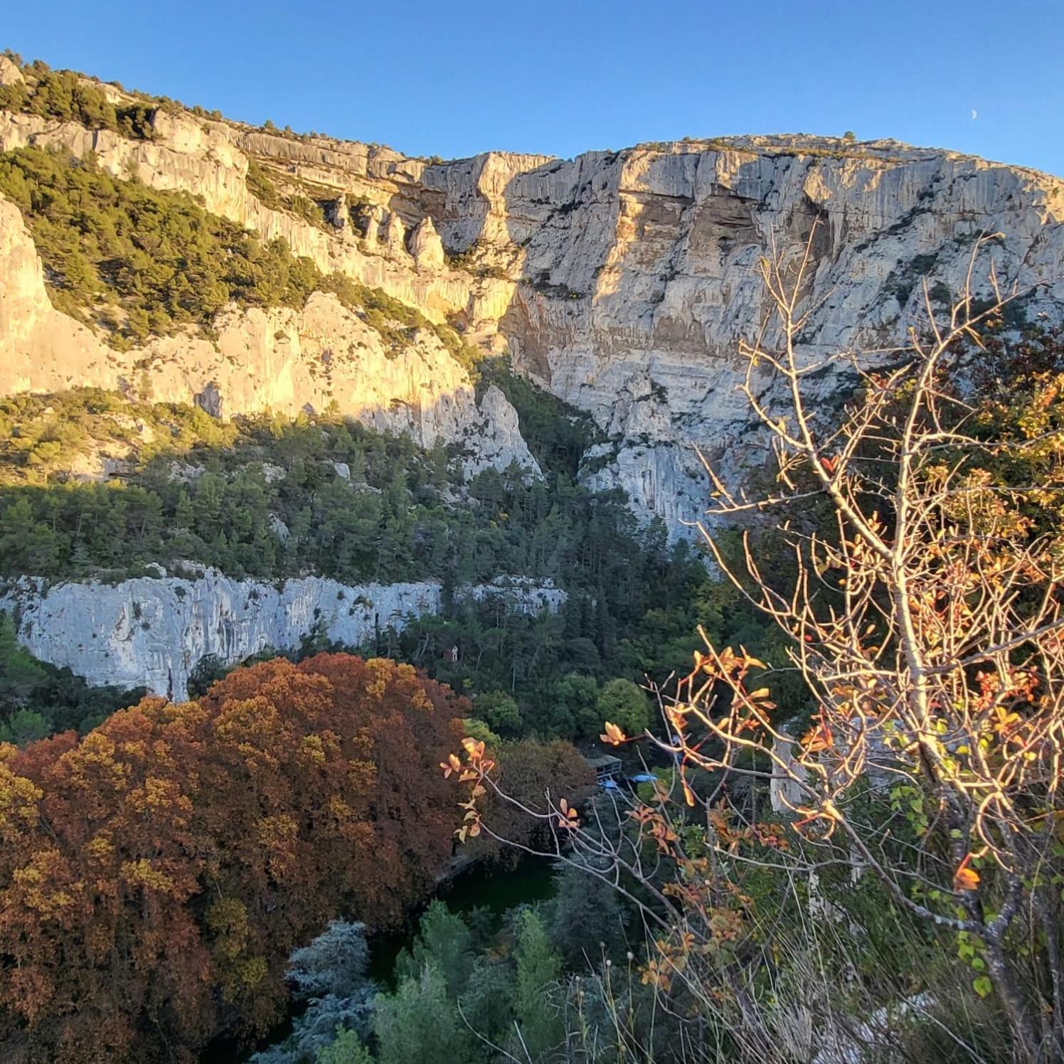 La Calade Lägenhet LʼIsle-sur-la-Sorgue Exteriör bild