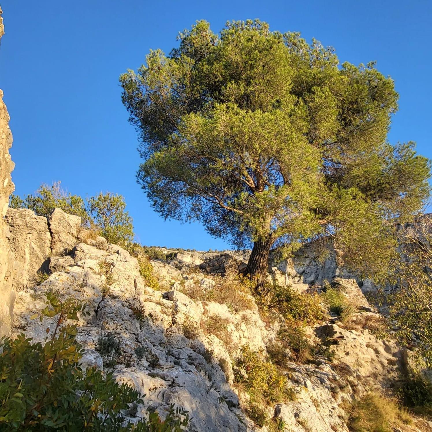 La Calade Lägenhet LʼIsle-sur-la-Sorgue Exteriör bild