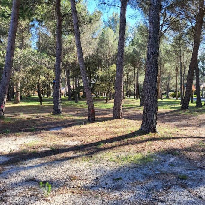La Calade Lägenhet LʼIsle-sur-la-Sorgue Exteriör bild