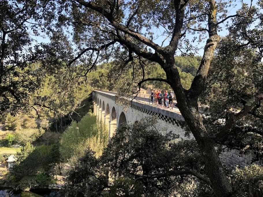 La Calade Lägenhet LʼIsle-sur-la-Sorgue Exteriör bild